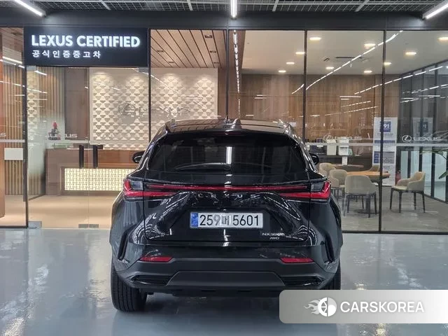 Lexus NX350h Second generation id 3720654 из Кореи 13