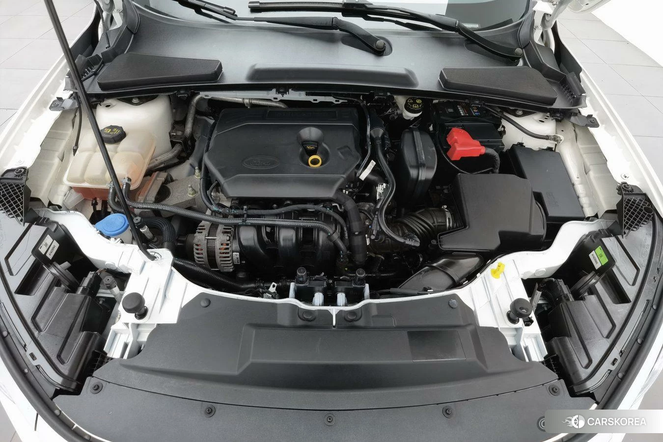Ford Forrest id 4505005 из Китая 18