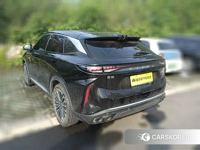 Astral Path Yaoguang 2024 Черный из Китая, фото 4