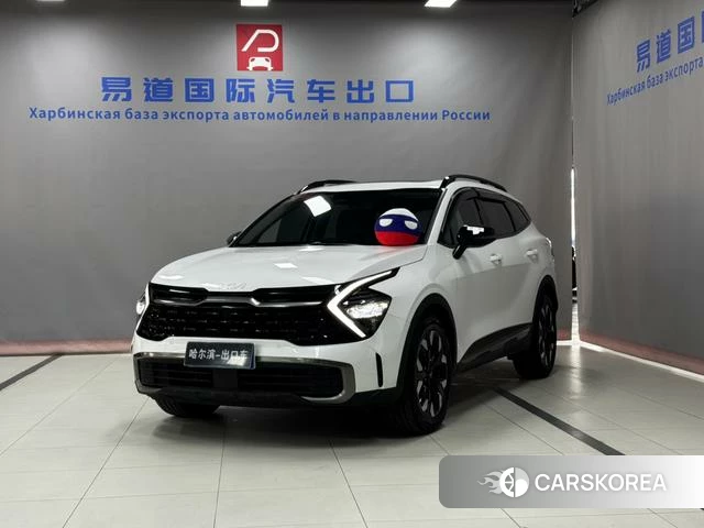 Kia Lion Platinum expands the world id 4209049 из Китая 17