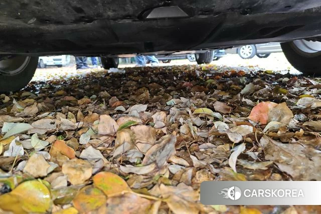 Toyota Lei Ling id 4258308 из Китая 11