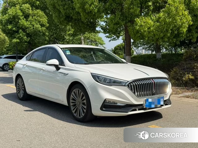 Red flag H5 classic 2020 Белый из Китая, фото 5