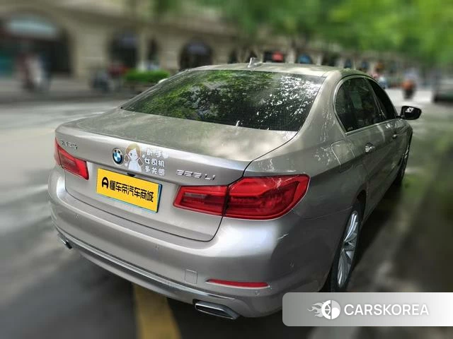 BMW 5 series 2019 Шампань из Китая, фото 4