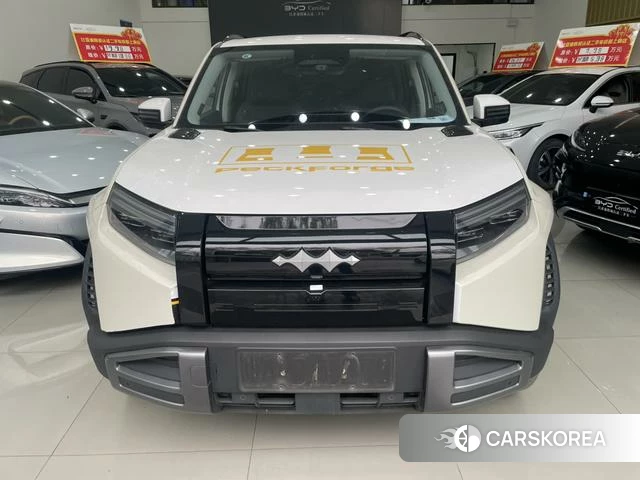 Leopard Titanium 3 2025 Другой из Китая, фото 4