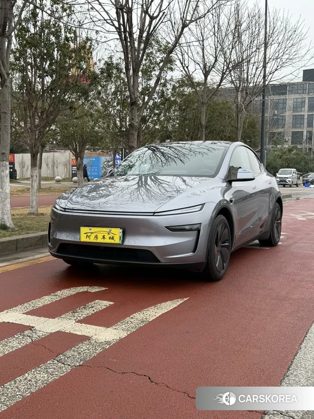 Tesla Model Y 2025 Серебристо-серый из Китая, фото 4