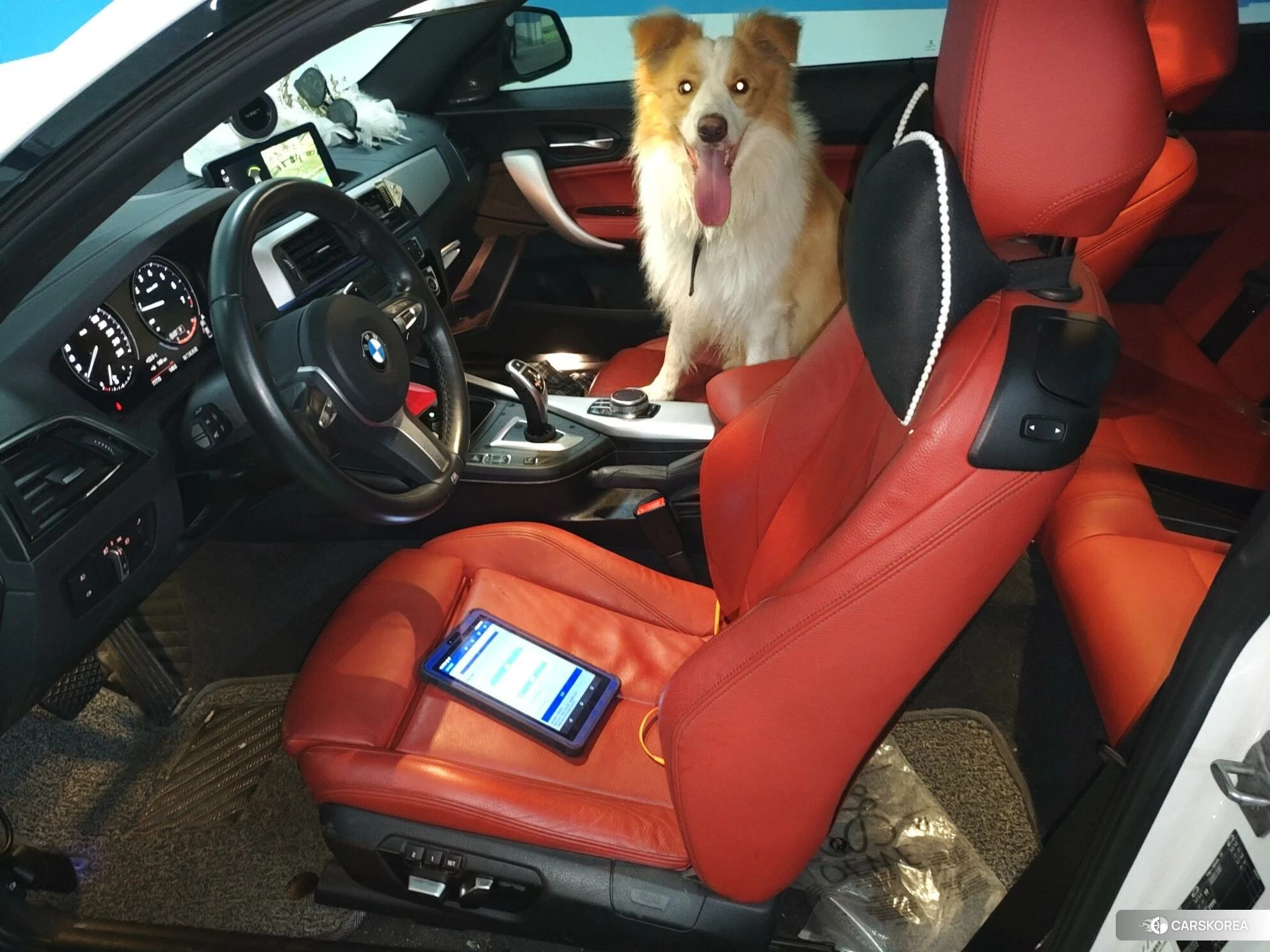BMW 2 series (imported) id 4420741 из Китая 15