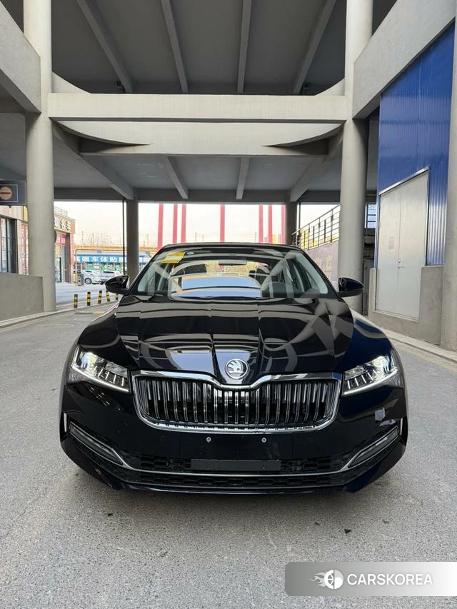 Skoda Speed pie id 4182603 из Китая 15