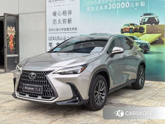 Lexus NX 2022 Серебристо-серый из Китая, фото 6
