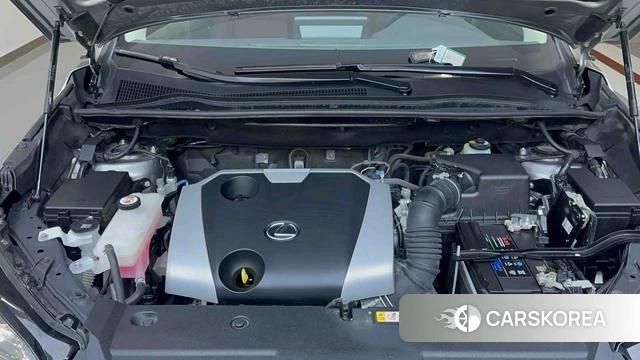 Lexus NX id 4241145 из Китая 18