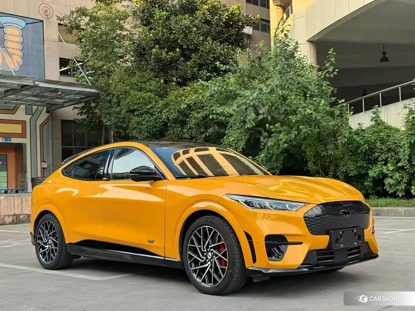 Ford Electric horse 2024 Yellow/orange из Китая, фото 4