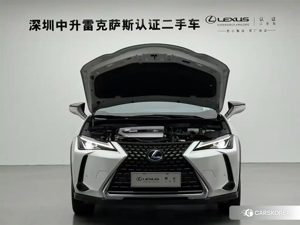 Lexus UX id 4546210 из Китая 11