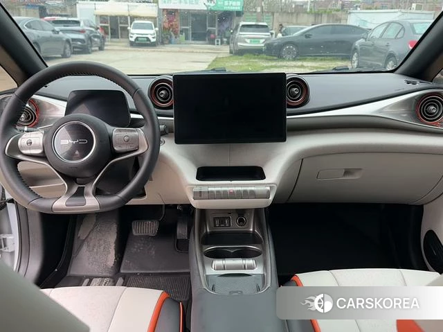 BYD dolphin id 4240196 из Китая 25