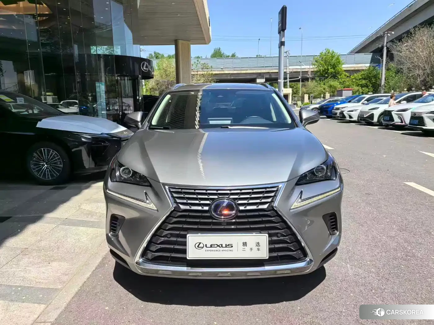 Lexus NX 2021 Silver/gray из Китая, фото 4