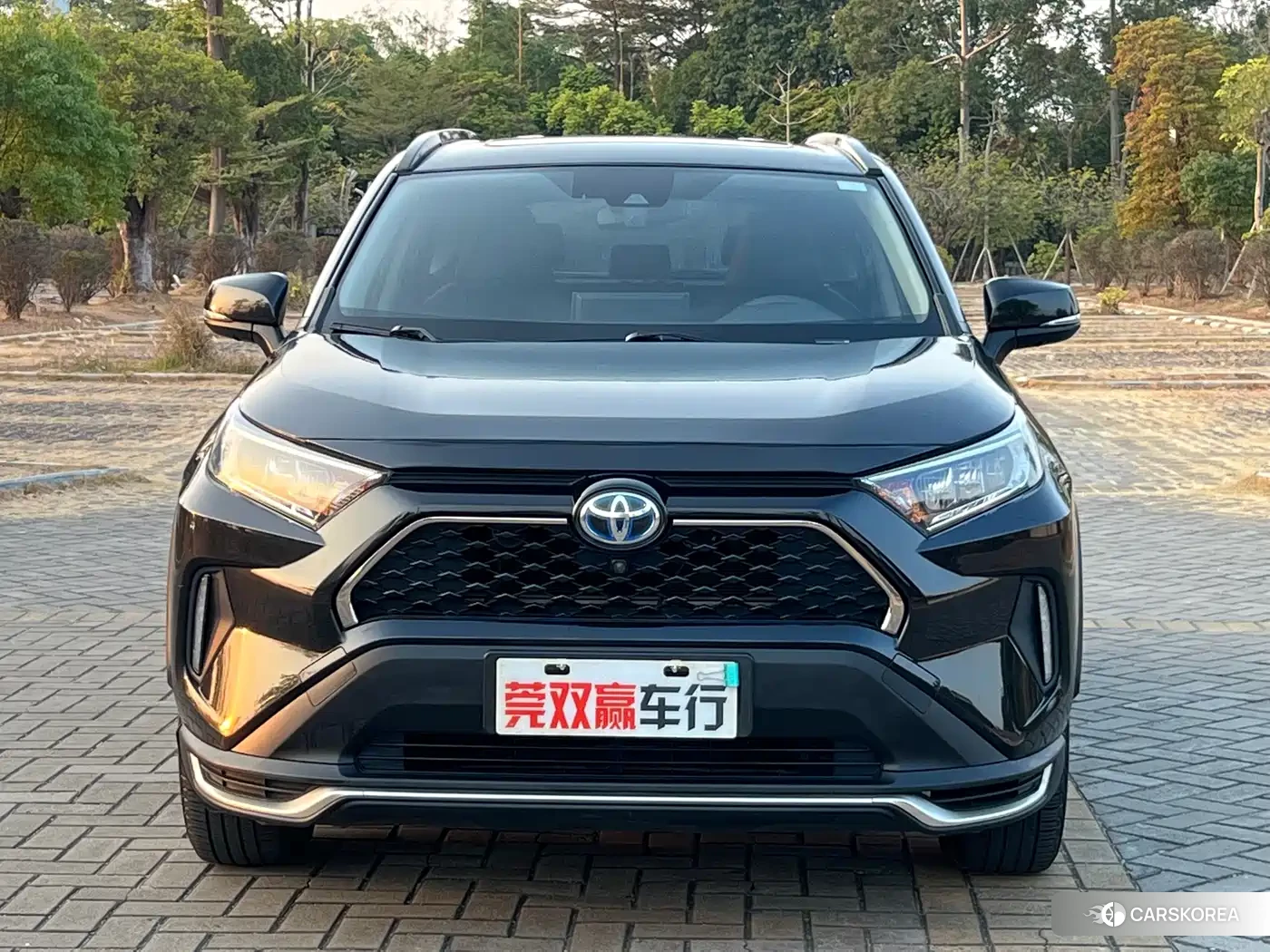 Toyota RAV4 Rongfang Dual Engine E+ id 4546356 из Китая 15
