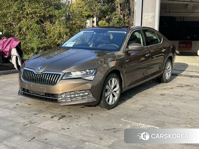 Skoda Speed pie 2020 Коричневый из Китая, фото 4