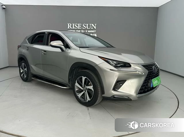 Lexus NX id 4242304 из Китая 10