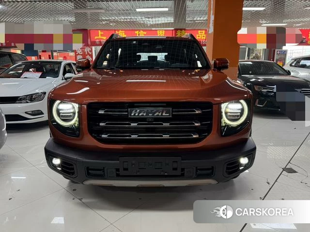 Haval Big dog 2021 Оранжевый из Китая, фото 4