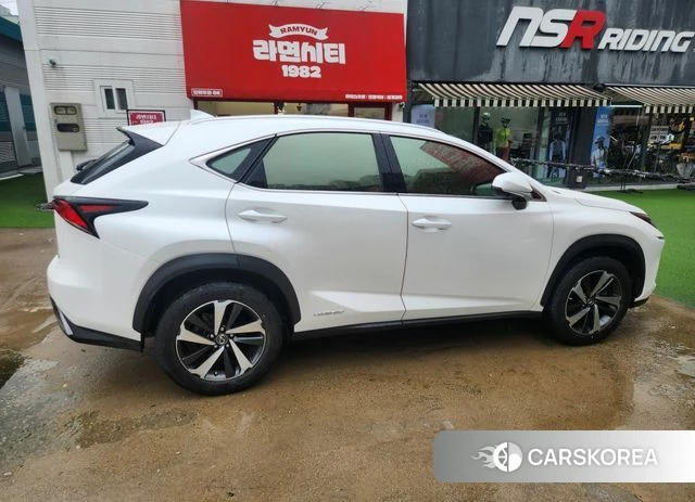 Lexus NX300h 2021 Белый из Кореи, фото 6