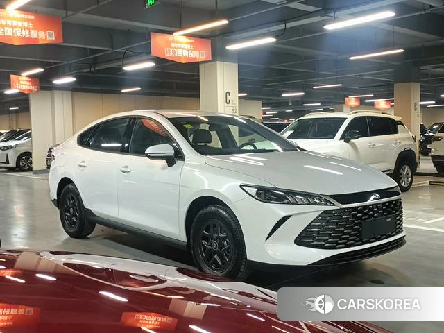 BYD Qin PLUS DM 2026 Белый из Китая, фото 4
