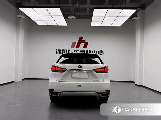Lexus RX id 4261326 из Китая 8