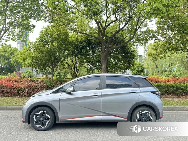 BYD dolphin id 3983308 из Китая 11