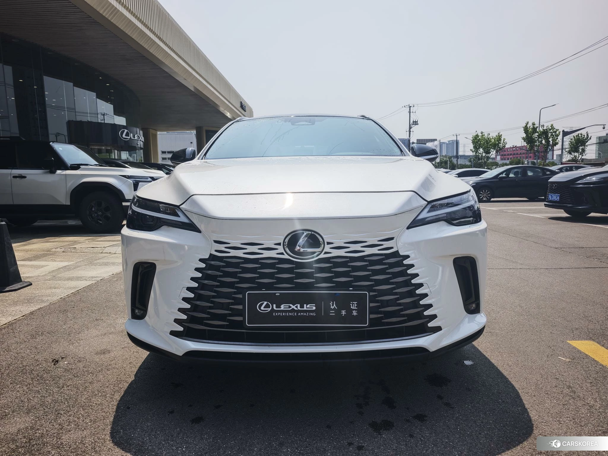 Lexus RX id 4512434 из Китая 13