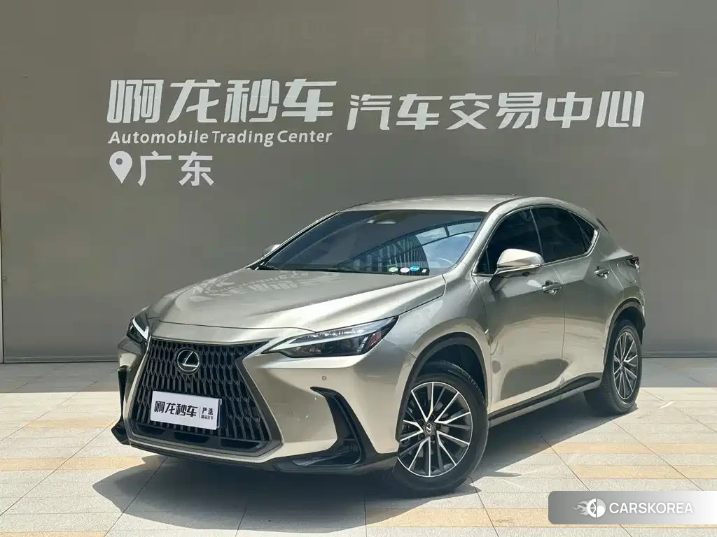 Lexus NX id 4686242 из Китая 7