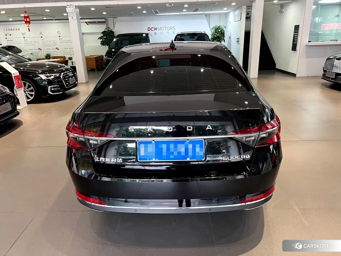 Skoda Speed pie id 4547315 из Китая 17