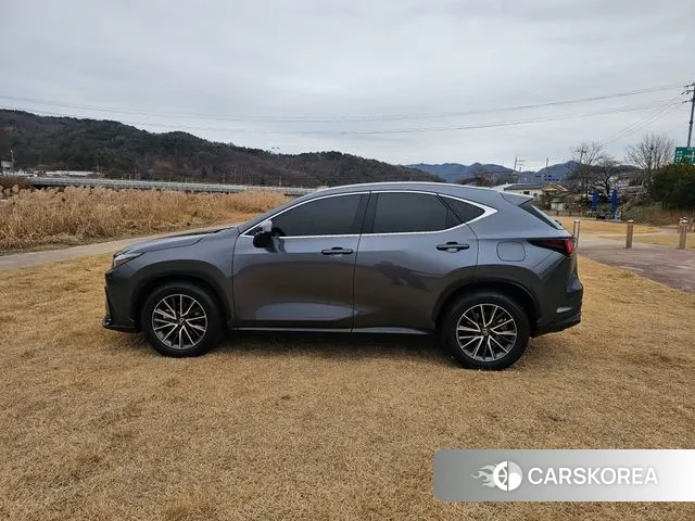 Lexus NX450h + 2nd generation id 3476581 из Кореи 14