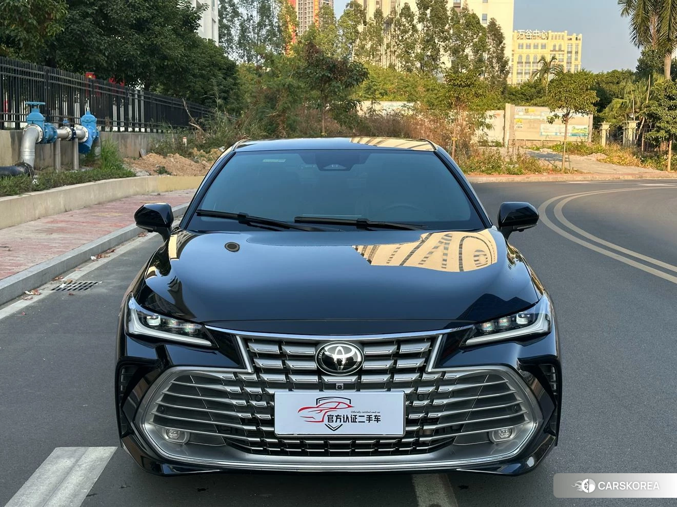 Toyota Asian dragon id 4454739 из Китая 11