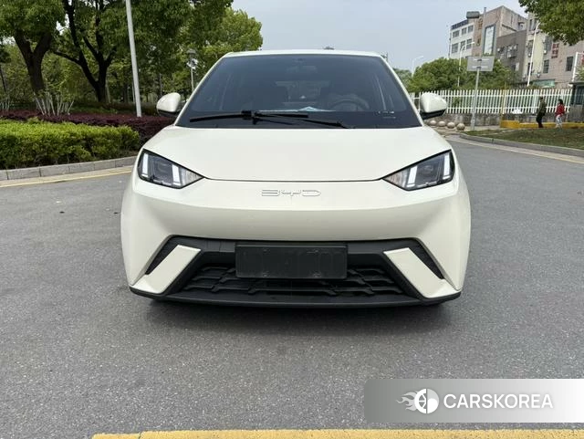 BYD Seagull 2023 Другой из Китая, фото 5