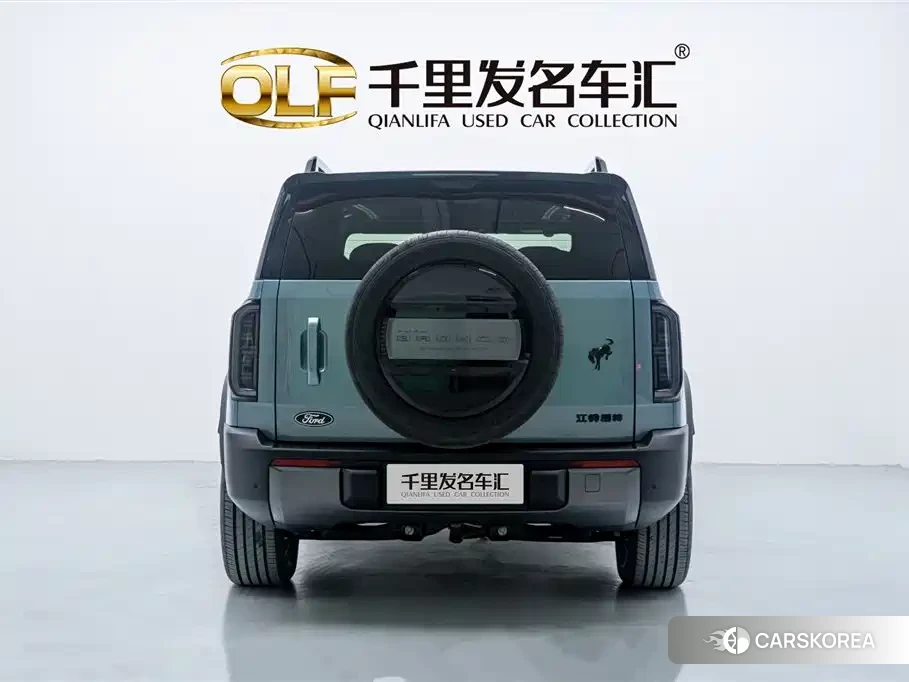 Ford Smart Fun Horse id 4577791 из Китая 16