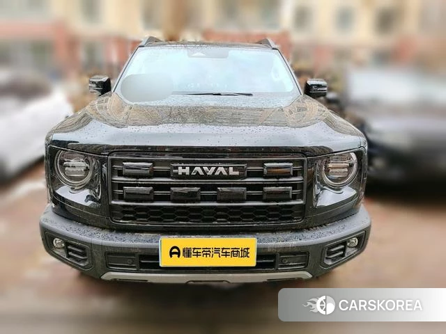 Haval Big dog 2025 Черный из Китая, фото 4