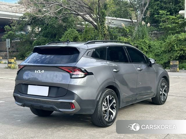 Kia Lion Platinum expands the world 2024 Темно-серый из Китая, фото 4