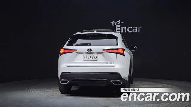 Lexus NX300 id 2850184 из Кореи 14