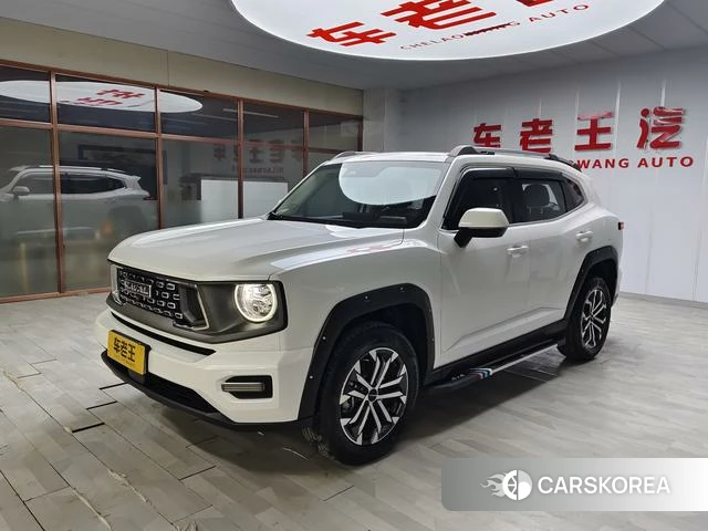 Haval Big Dog PLUS 2023 Белый из Китая, фото 4