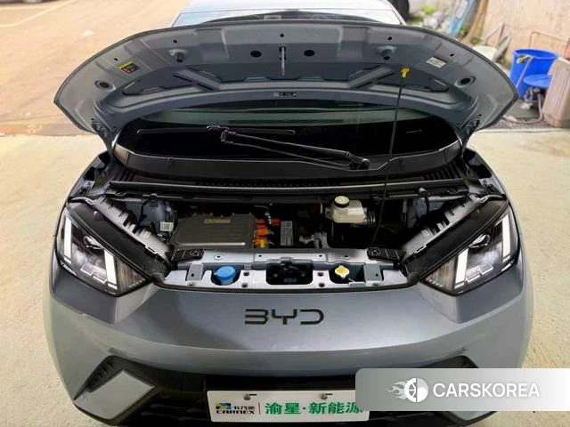 BYD Seagull id 3919534 из Китая 25