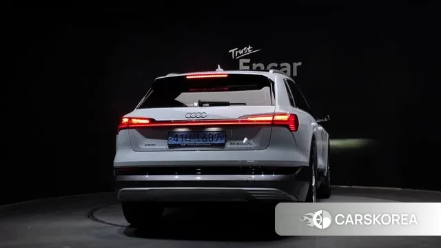Audi e-Tron id 3660127 из Кореи 14