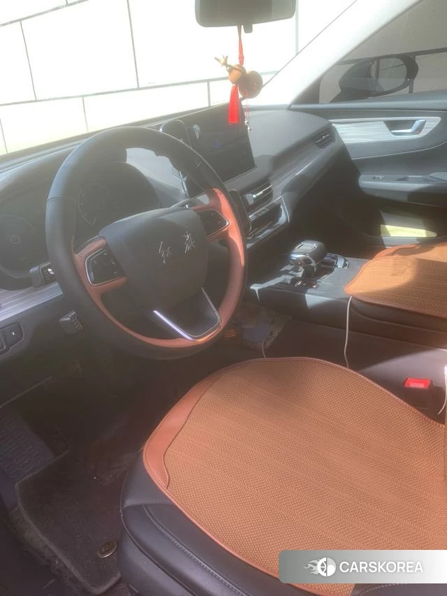 Red flag E-QM5 2025 Черный из Китая, фото 4