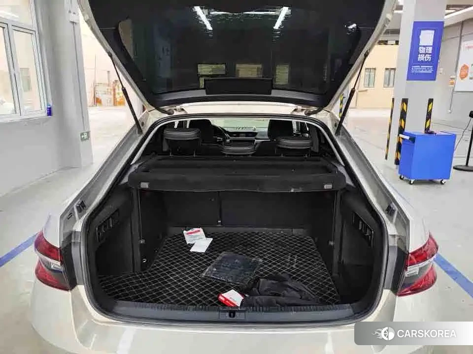 Skoda Speed pie id 4570581 из Китая 10