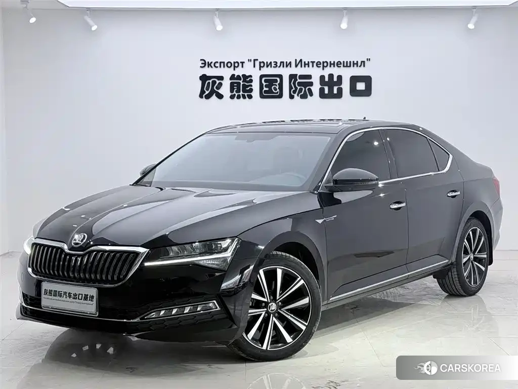 Skoda Speed pie id 4548303 из Китая 9