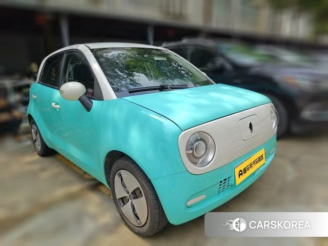 Euler Black cat 2020 Другой из Китая, фото 4