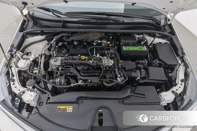 Toyota Asian lion id 4259145 из Китая 18