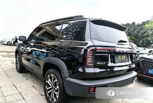 Haval Big dog 2026 Черный из Китая, фото 4