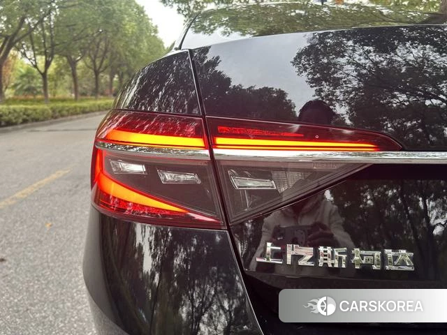Skoda Speed pie id 4221421 из Китая 25