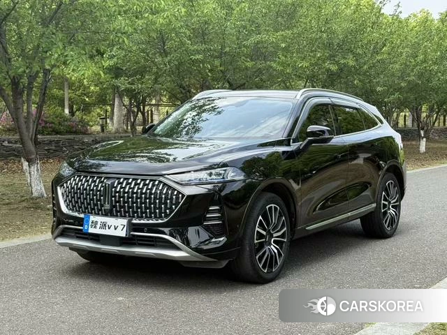 Wei Pai Mocha 2021 Черный из Китая, фото 4