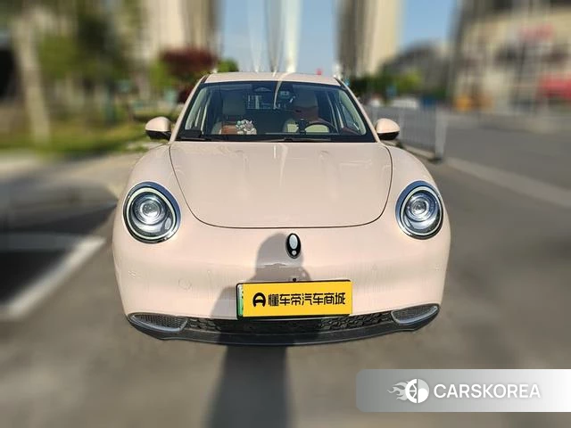 Euler Good cat 2022 Другой из Китая, фото 4