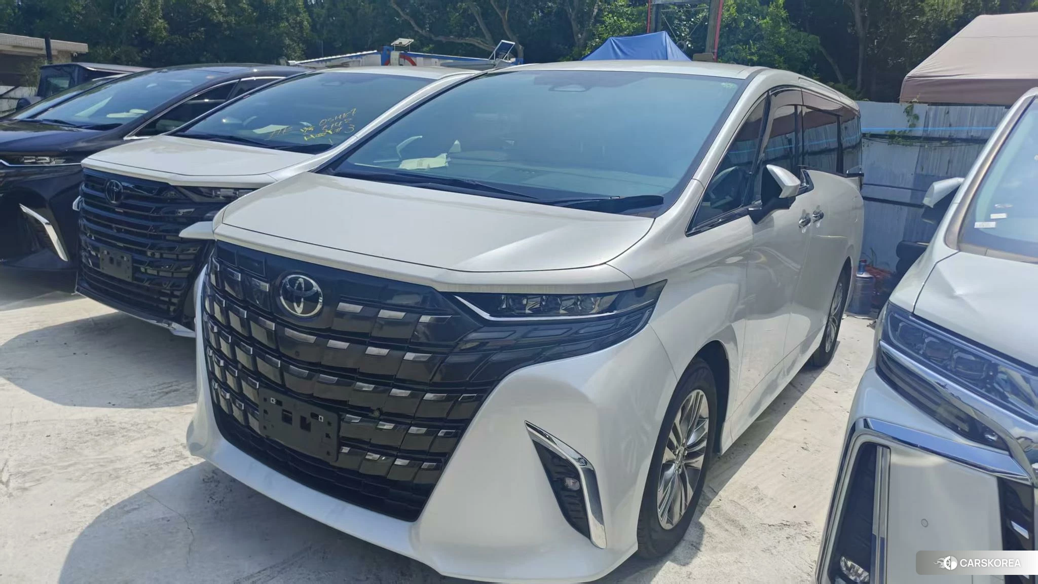 Toyota Elfa 2023 Белый из Китая, фото 4