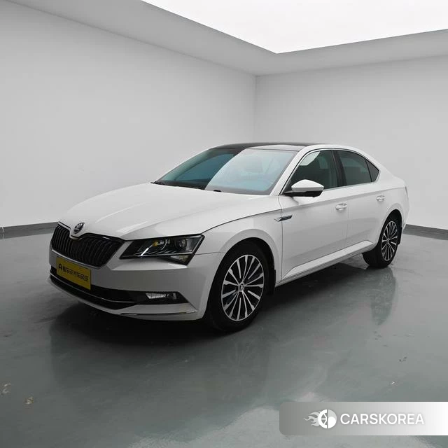 Skoda Speed pie id 4235866 из Китая 14