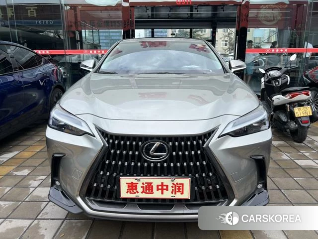 Lexus NX PHEV id 4272356 из Китая 11